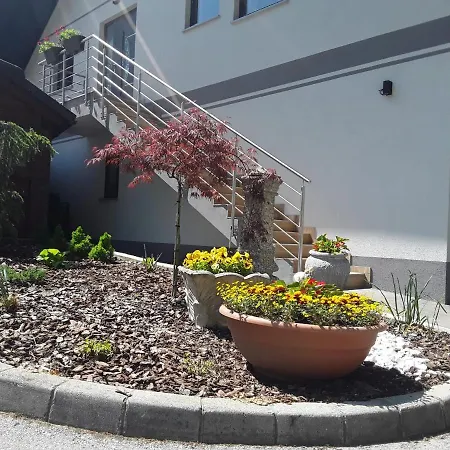 Apartmaji Tisa In Zana