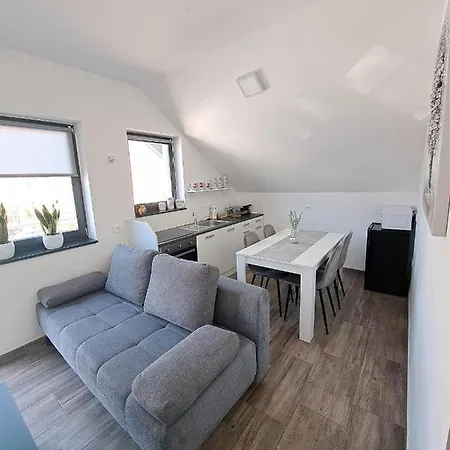 Apartmaji Tisa In Zana Apartmán Rovte
