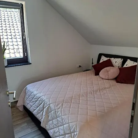 Apartmaji Tisa In Zana