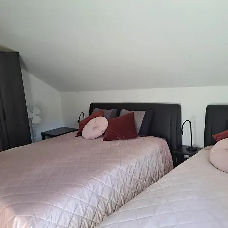 Apartmaji Tisa In Zana *