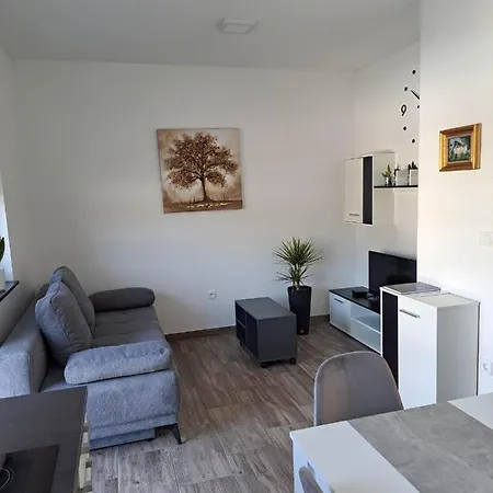 Apartmaji Tisa In Zana Rovte