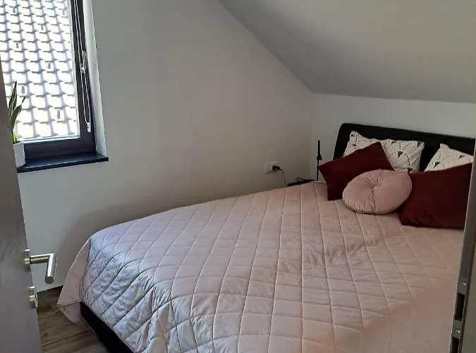 Apartmaji Tisa In Zana