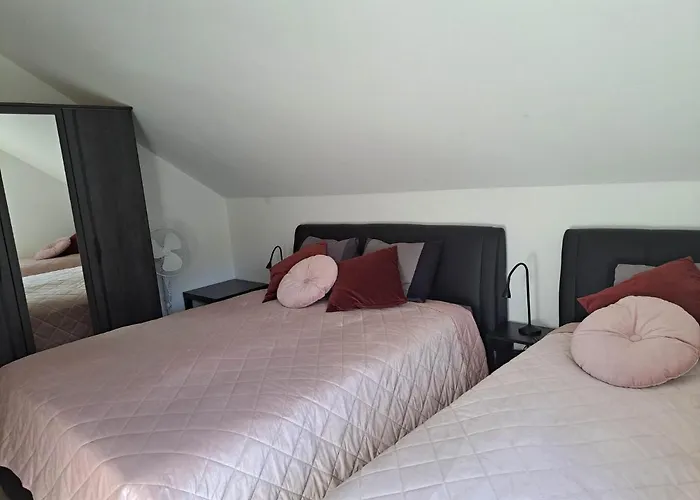 Apartmaji Tisa In Zana *