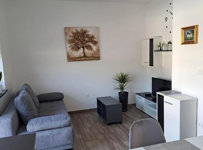 Apartmaji Tisa In Zana Rovte
