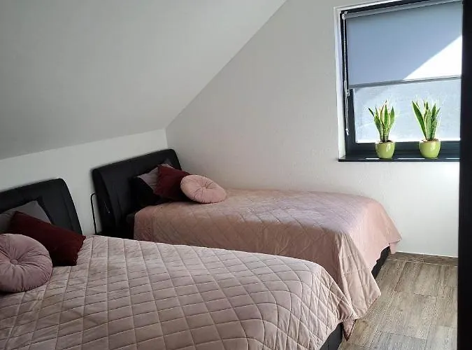 Apartmaji Tisa In Zana 公寓 *