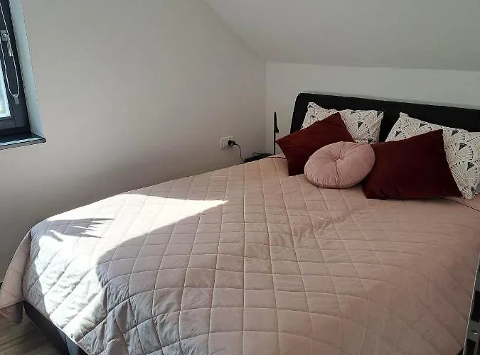 Apartmaji Tisa In Zana 公寓 *