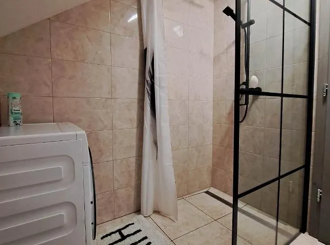 公寓 Apartmaji Tisa In Zana Rovte